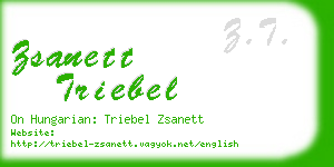 zsanett triebel business card